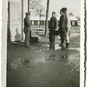 29