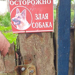 Звезду прикрыл