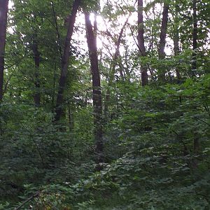 20200616_072851