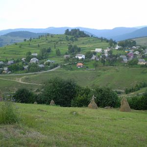 P7114390
