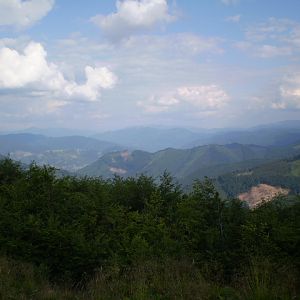 P7114382