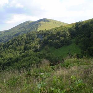 P7114383