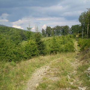 P7114385
