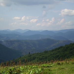 P7114386