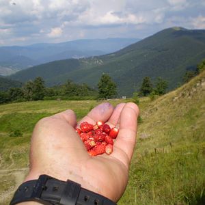 P7114379