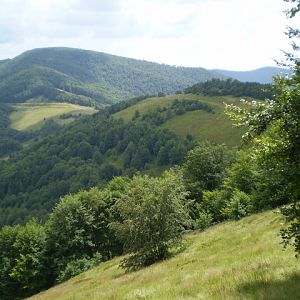P7104354