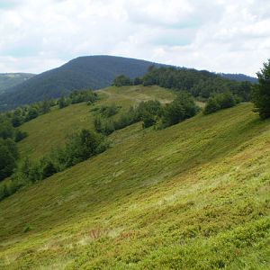 P7114356