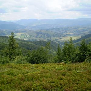 P7114357