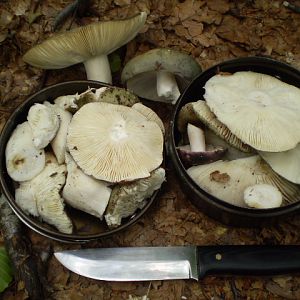P7104340
