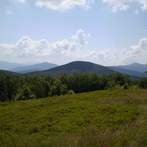 P7104329