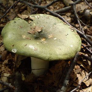 P7104336