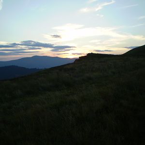 P7104318