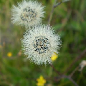 P7104312