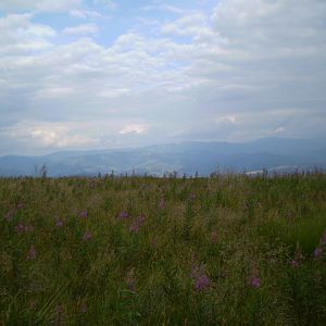 P7104298