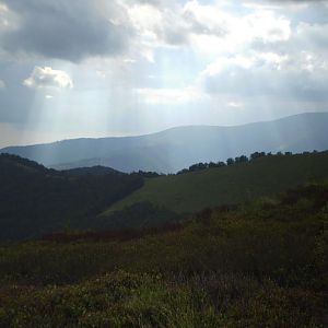 P7104299-300