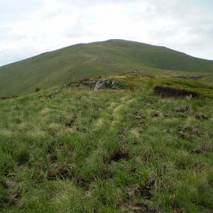 P7104302