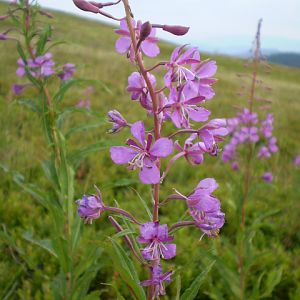 P7104303