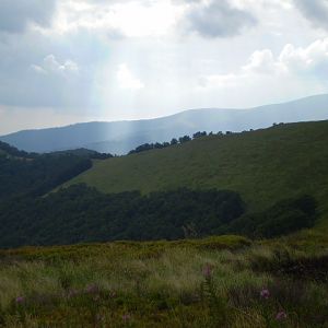 P7104296