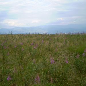 P7104297