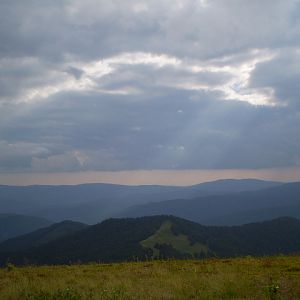 P7104291