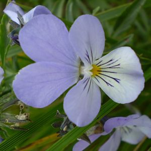 P7094262