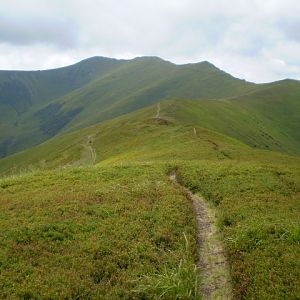 P7094264