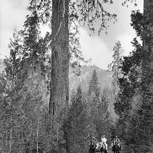 California