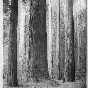 Northern California