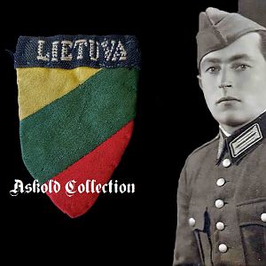 Lithuanian Shield