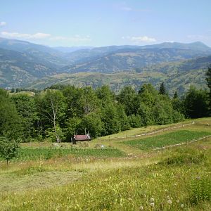 P7192936