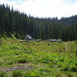 P7172856