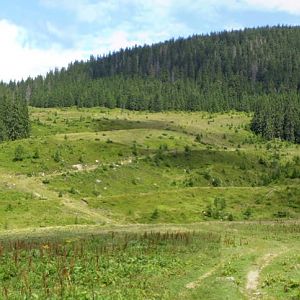 P7172857-8