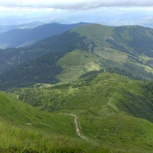 P7162800-1