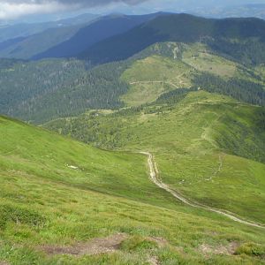 P7162785