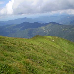 P7162786