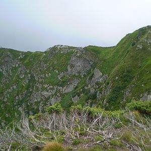 P7162791
