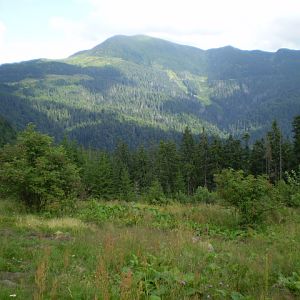 P7152722
