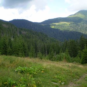 P7152724