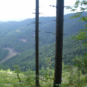 P7152705