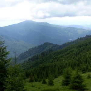 P7152710-1
