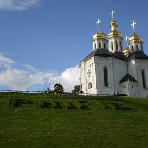 P7136398