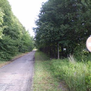 P7136407