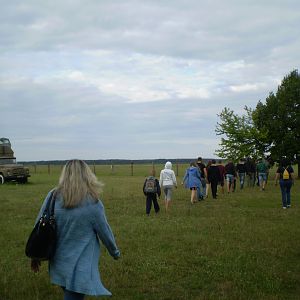 P7196539
