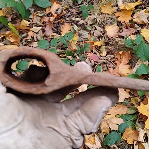 IMG_20211024_111531