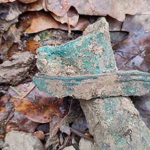 IMG_20211108_125255