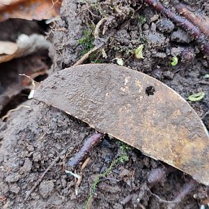 IMG_20211127_100714