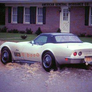 Flood In A Town