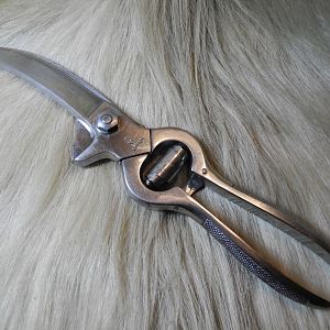 755