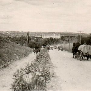 Пр. Науки, школа ім. Бойченка, вересень 1941