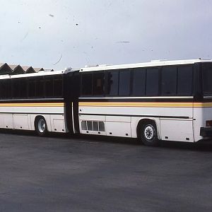 Crown Ikarus
